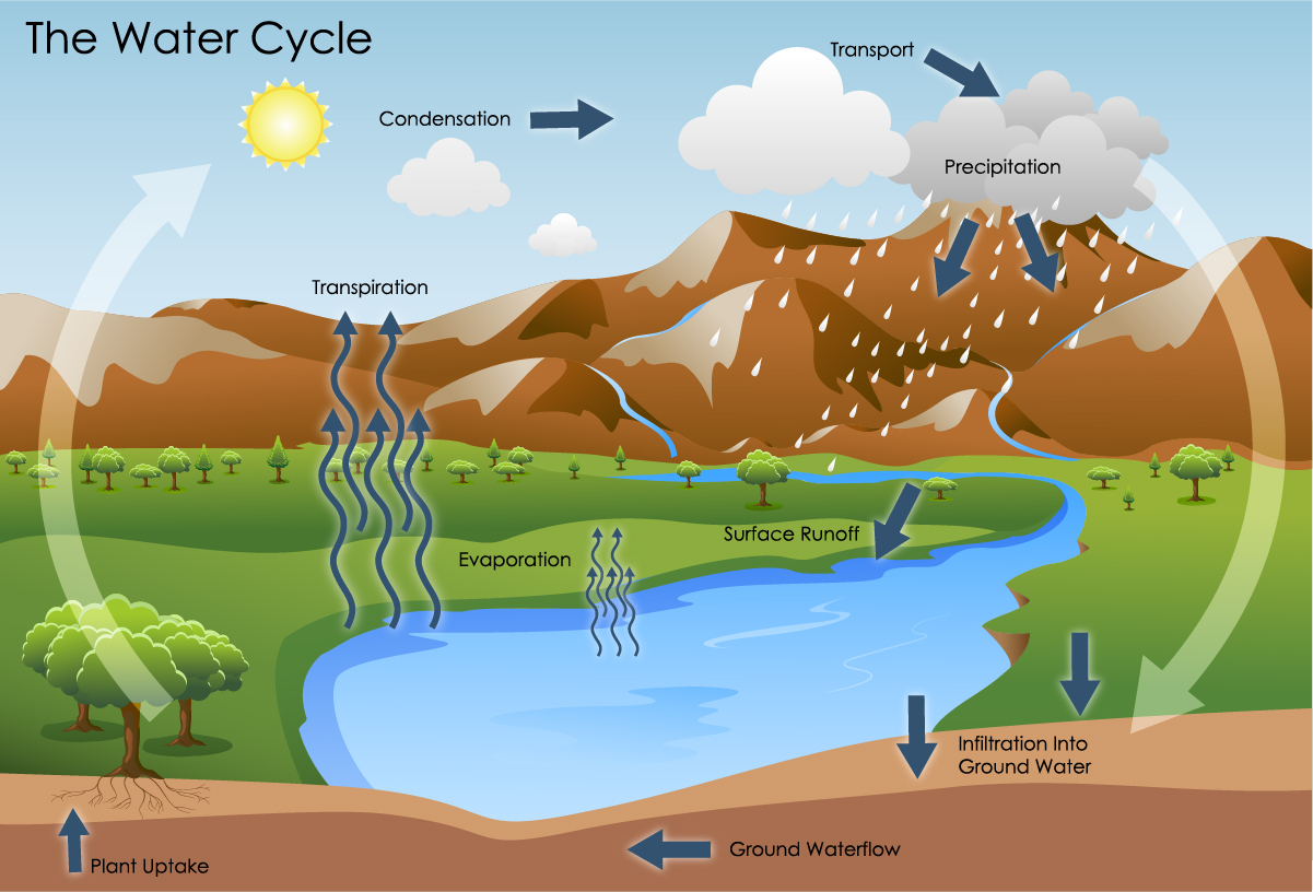 water-cycle-100 | Battle Creek Area Clean Water Partnership