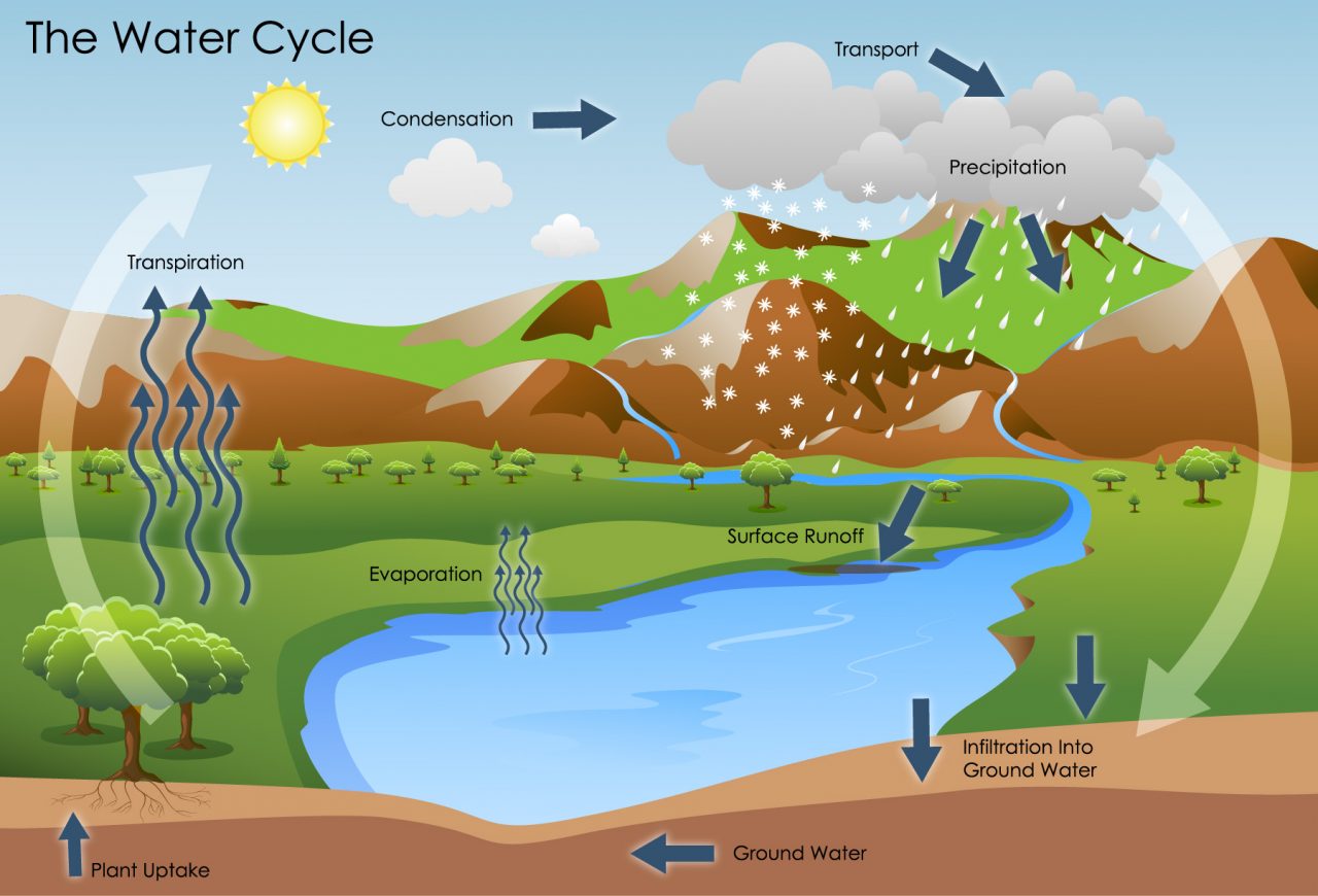 hypothesis on water cycle